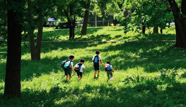 研学旅行方案中的高端包车服务适用情况与限制